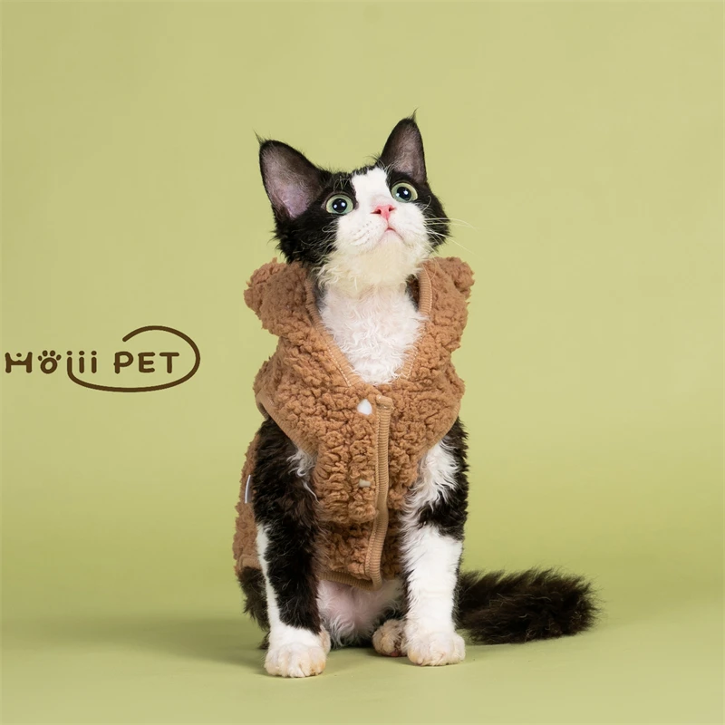 猫飼いが買ってよかったもの・悪かったもの正直に言う｜秋冬保温ベストの実際の効果と選び方