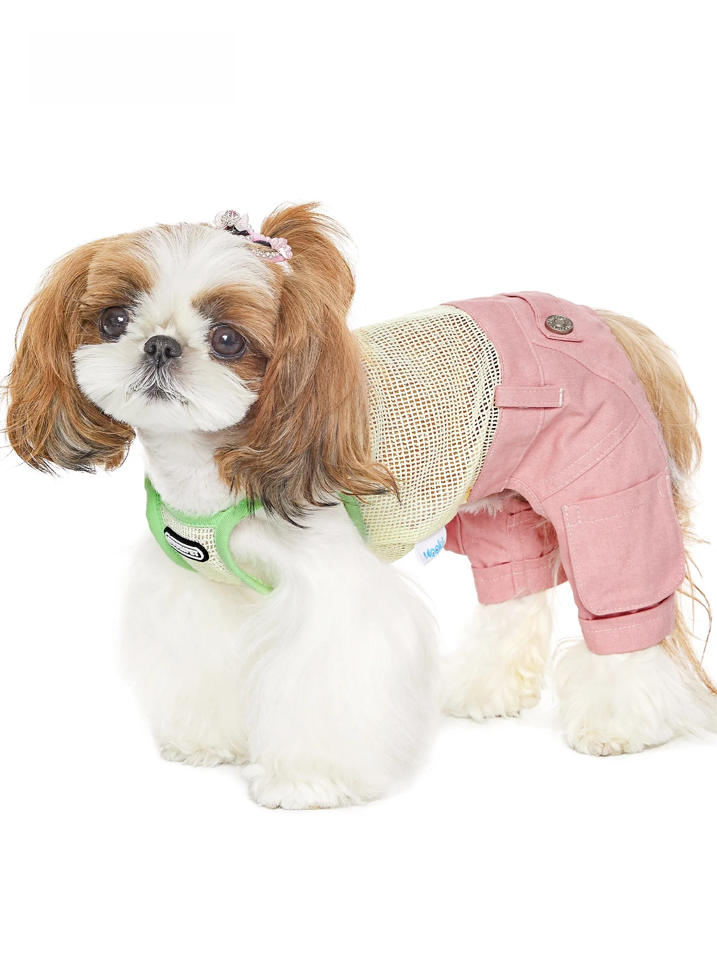 犬を飼う初心者が迷う「夏の服」はどう選ぶ？