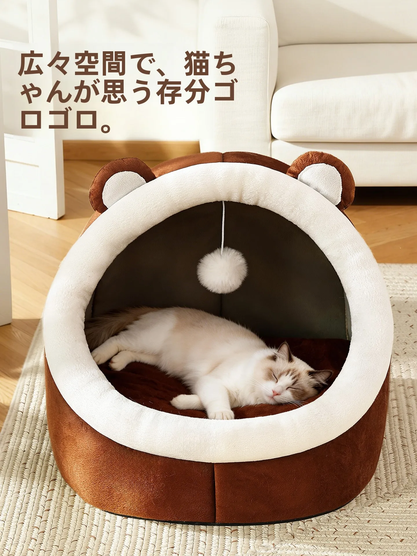 猫用ベッドを洗えるようにするには？本当の安心感を届ける選び方