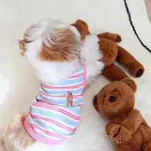 ベスト 子犬 春秋用 テディベア マルチーズ 薄手