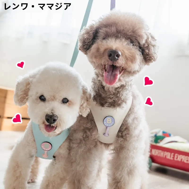 犬のお散歩グッズをコスパ良く揃える方法　胸部ハーネス型リードの実測ガイド