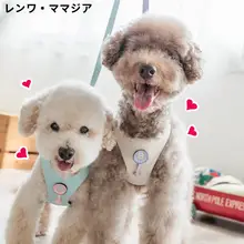 外出用 胸部ハーネス型小型犬用リード【防爆・ツートンカラー】（セットアップ対応）