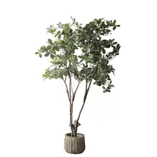 フェイツリー 大型植物 室内 家具 グリーン デコレーション