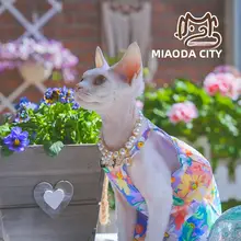 猫用首輪 チャーム パール 蝶結び 子猫用 スフィンクス デボンレックス おしゃれ