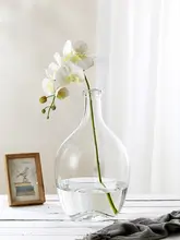 北欧風 シンプルガラス花瓶【大きいサイズ・水栽培・デコレーション用】