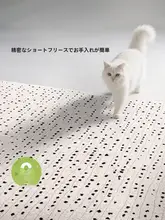 防水・抗菌仕様のラグ【現代的でシンプルなデザイン・リビングルーム用】