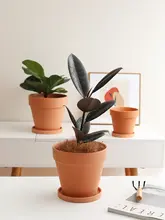 プランター 多肉植物に適した 丸型 粗陶の通気性 現代的・シンプル