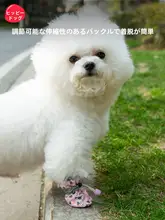 hipidog 犬用シューズ【汚れ防止・脱げにくい・小型犬用・テディベア＆ビションフリーゼ対応】