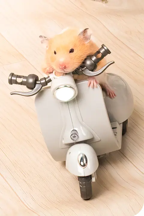 ハムスター用 電動バイクおもちゃ【回転機能・楽しい遊び道具】