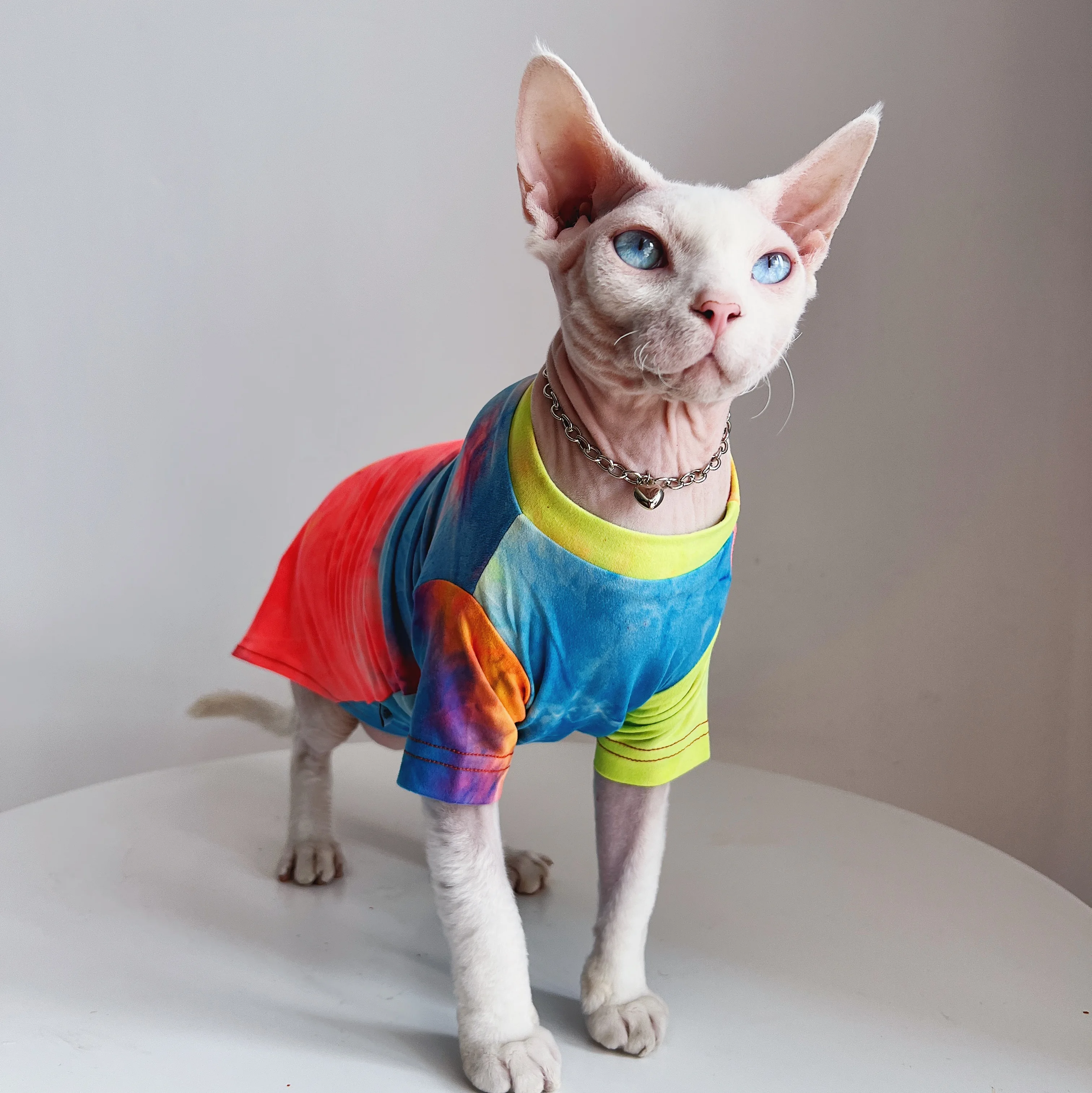 無毛猫用衣服：スフィンクス・コーニッシュ向けの肌に優しい夏用エアコン対応モデル