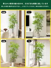 ニレ 偽物の木 植木鉢 室内 テレビ台の隣 装飾 ラグジュアリー グリーン