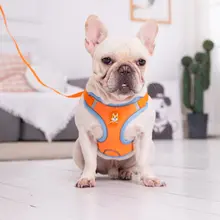 調節可能なハーネス付きリード【中小型犬用・フレンチブルドッグ・パグ・テディベア散歩用】