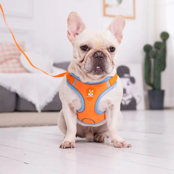 調節可能なハーネス付きリード【中小型犬用・フレンチブルドッグ・パグ・テディベア散歩用】