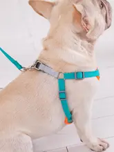 調節可能なハーネス付きリード【中小型犬用・フレンチブルドッグ・パグ・テディベア散歩用】
