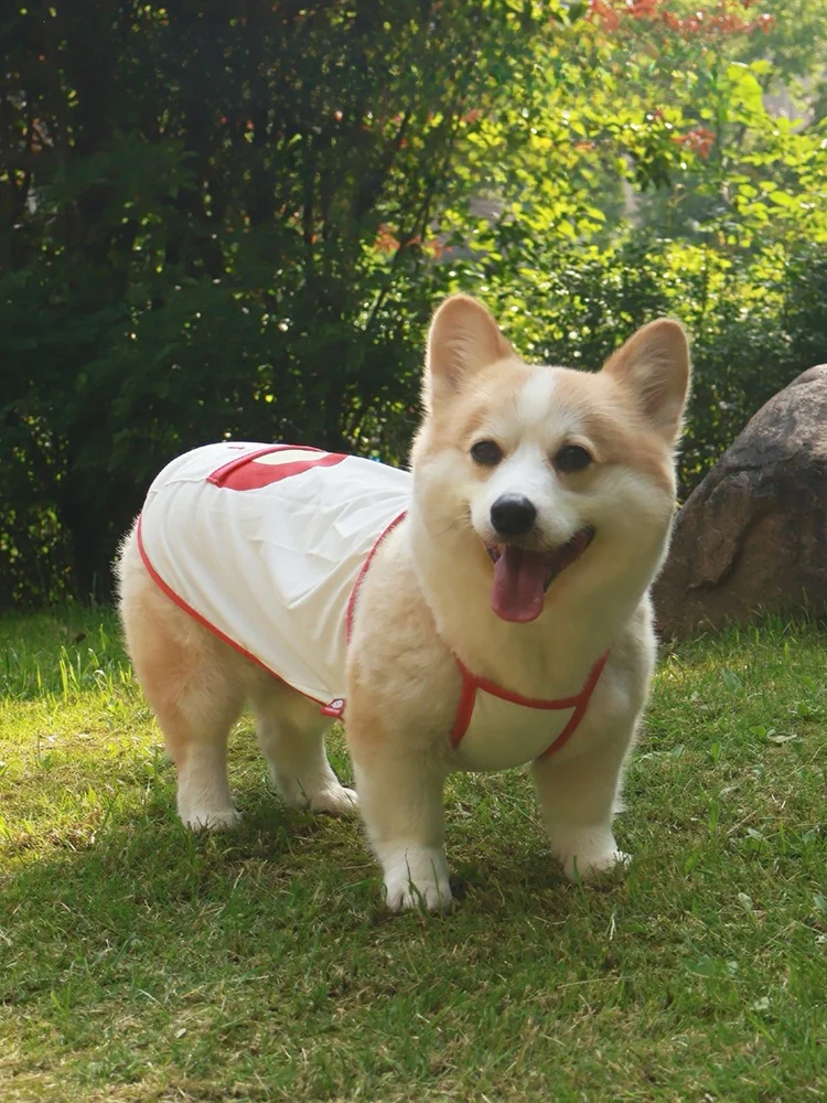 犬用冷却ベスト：春夏散歩時の紫外線対策と抜け毛防止が実現