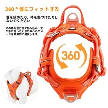 犬用ハーネス付きリード【小型犬から大型犬対応】