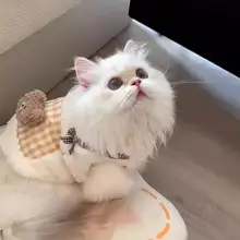 秋冬用 コットン混毛布製ペットベスト【猫・犬用・保温・厚手】