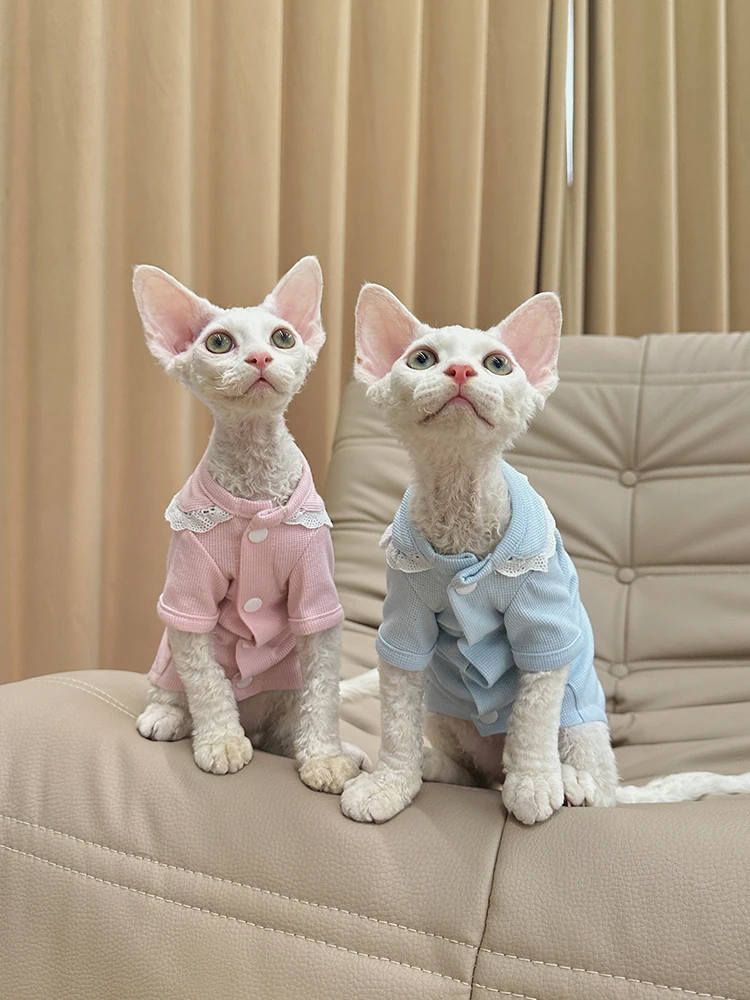 猫飼いが買ってよかったもの・悪かったもの正直に言う｜完全ガイド