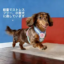 小型犬用 胸付リード【爆発防止・耐久性あり・ペットの散歩に最適】