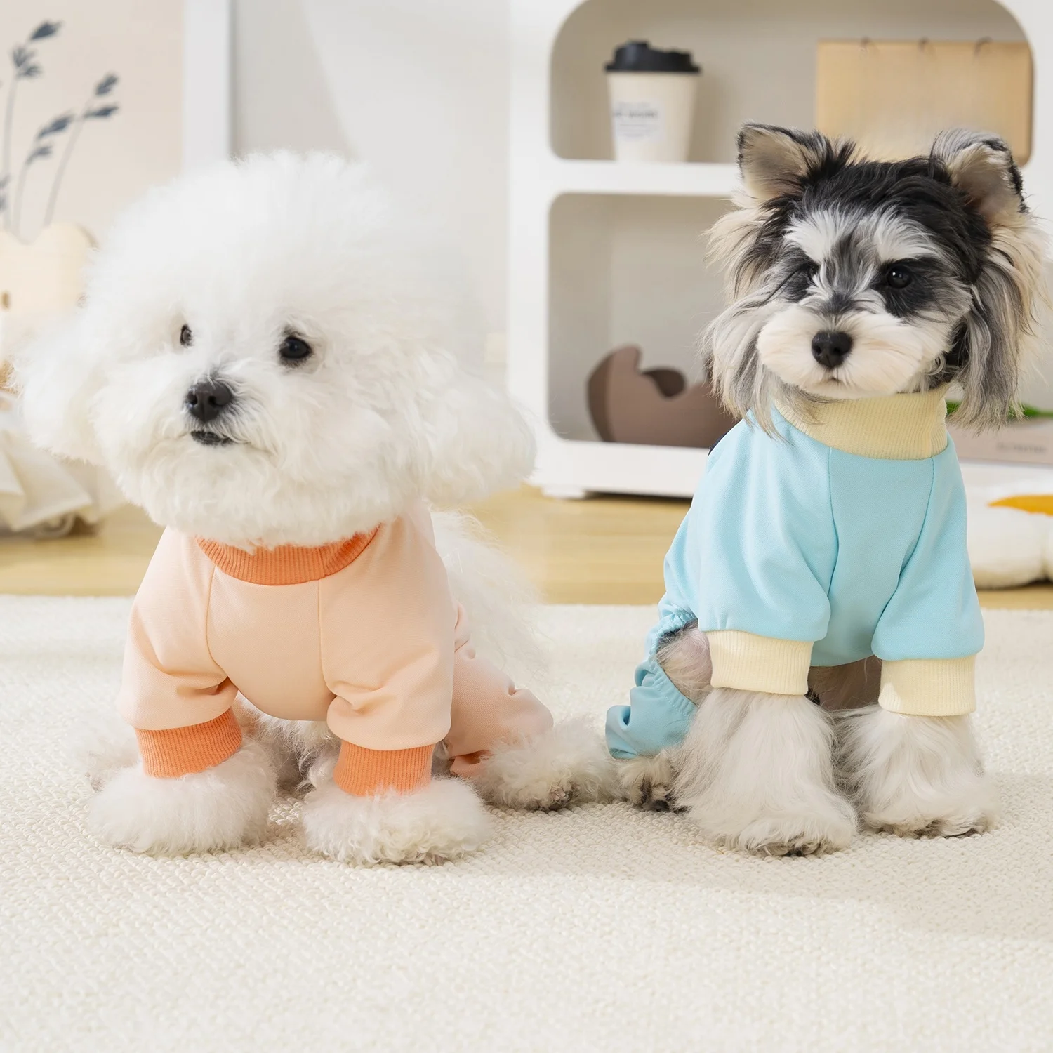 春夏用の薄手ペットウェア：犬を飼う初心者に最適な通気性と汚れ防止設計