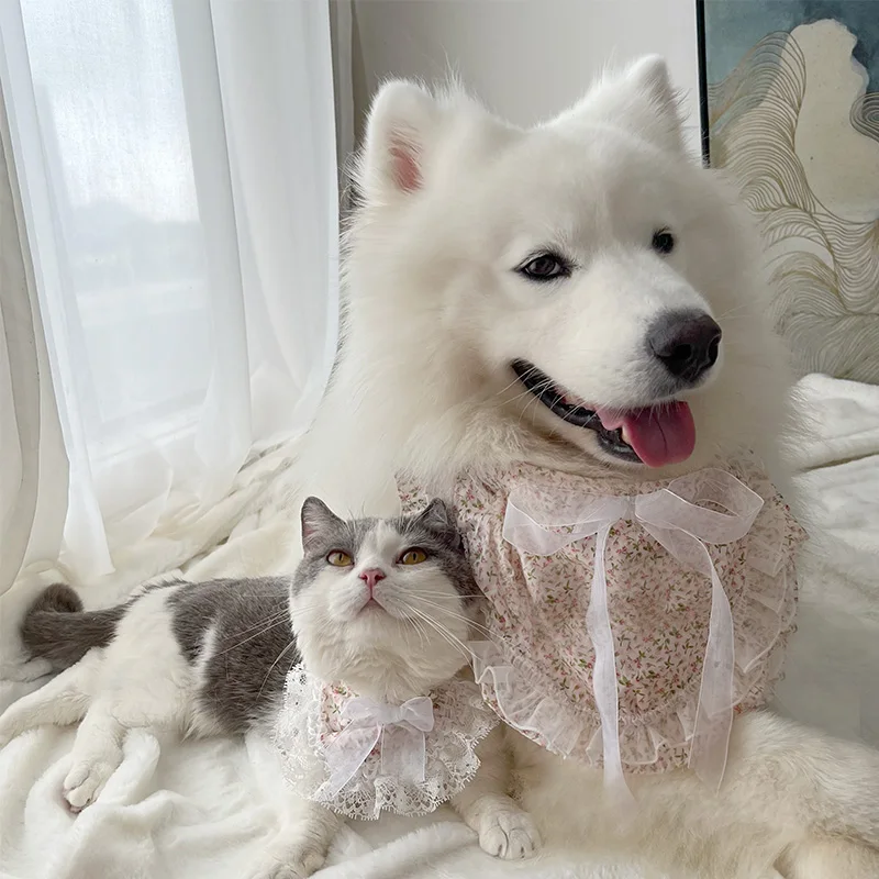 モコモコ犬の首周りケアに最適なペット用スカーフとは？