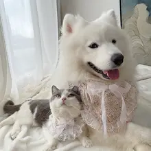 ペット用スカーフ【犬・猫兼用・水分吸収タオル・首周りのデコレーション】