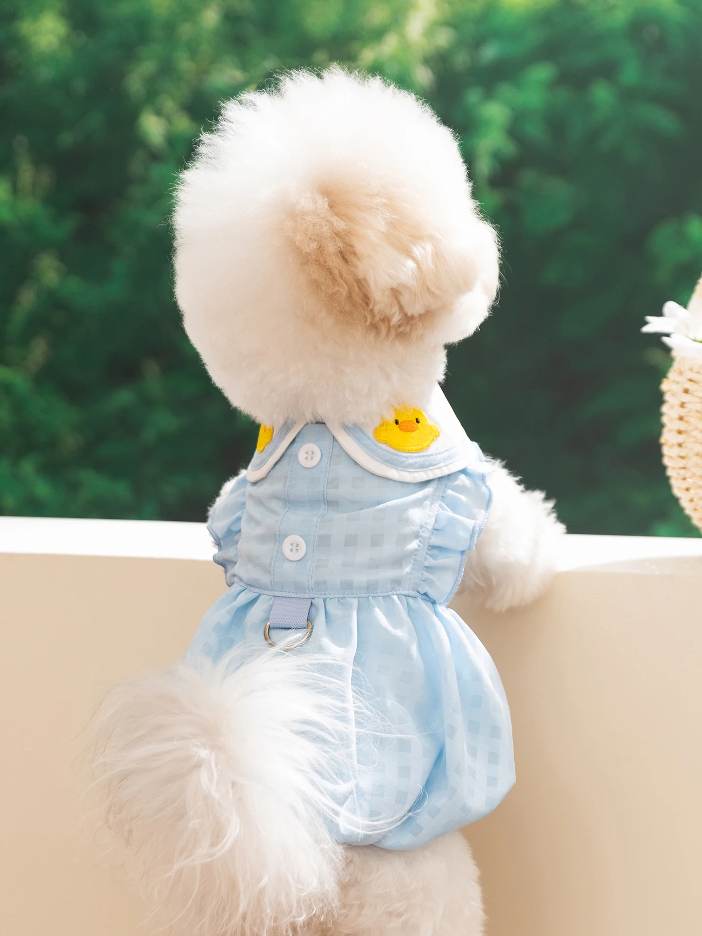 hipidog テディベア風デザインの犬用夏用ドレス：通気性と日常散歩に最適なフリル付きドレス
