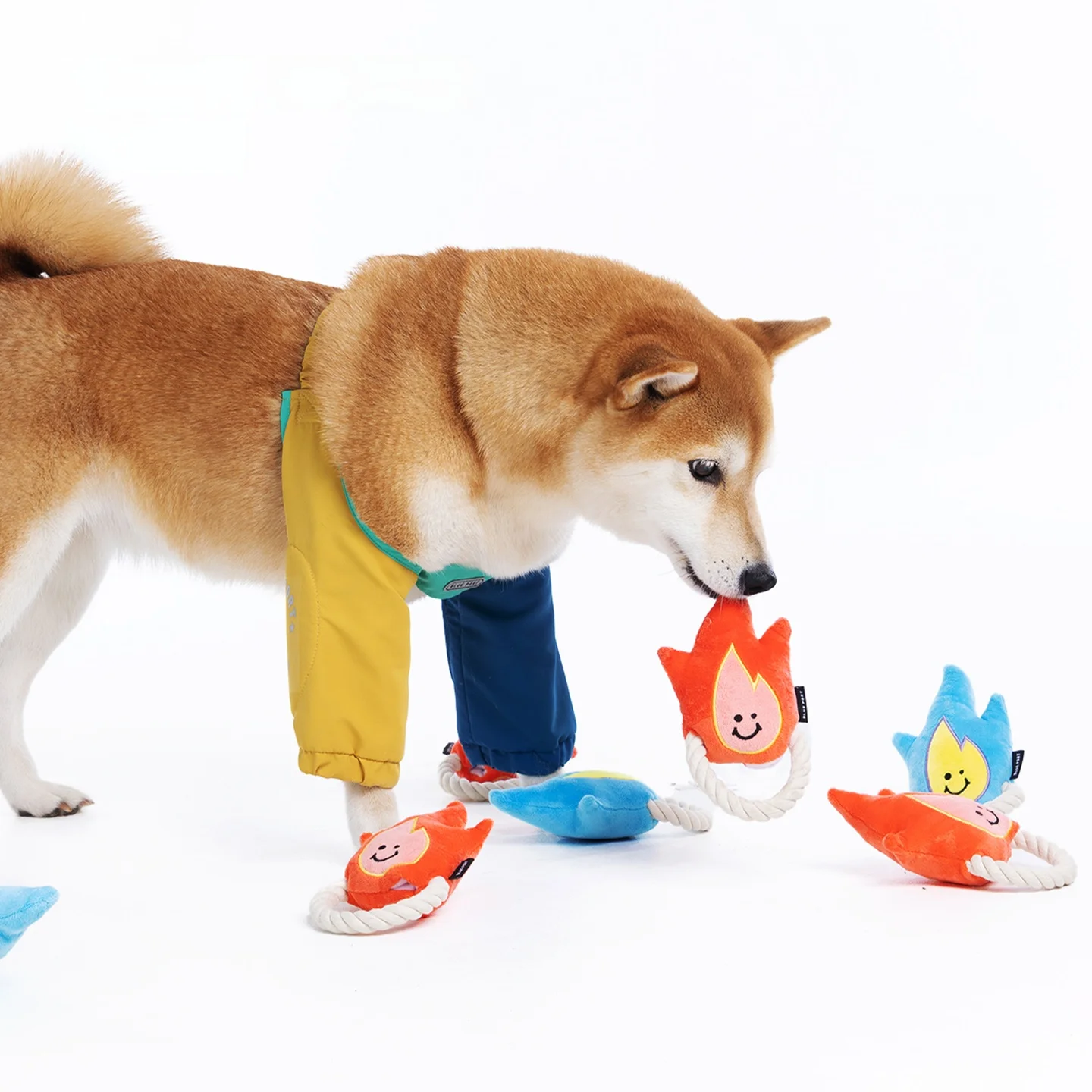 インタラクティブ犬用ロープおもちゃ：発声機能と耐噛みで室内飼育に最適なトレーニングツール