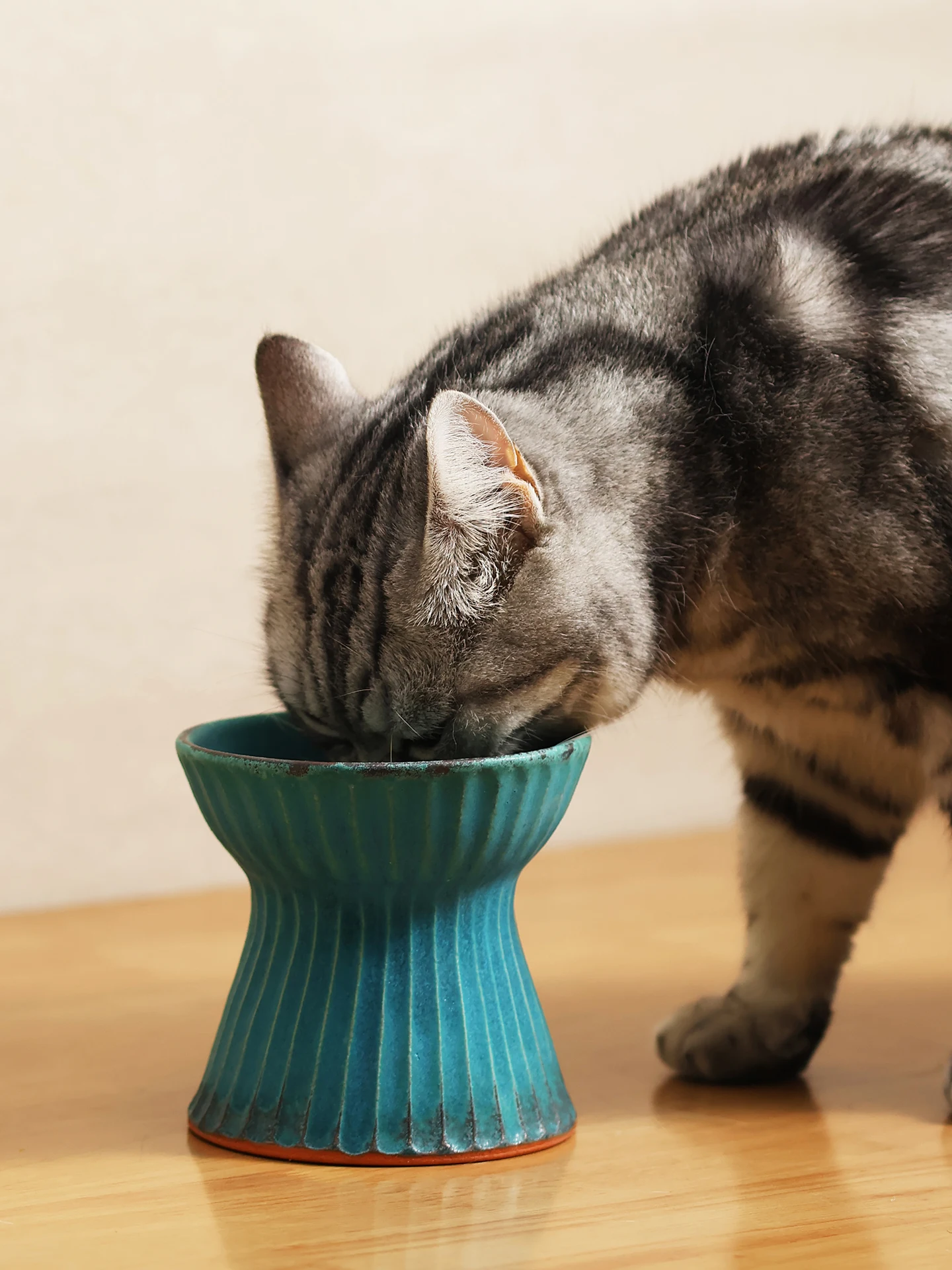 ヴィンテージ風の高脚猫用粗陶製ボウル：首を支えるデザインと転倒防止の実用性