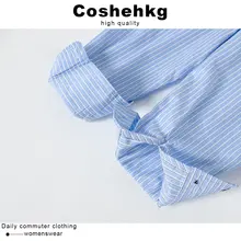 ストライプ柄ロングスリーブシャツ【刺繍デザイン・秋用・フィット・レディース】