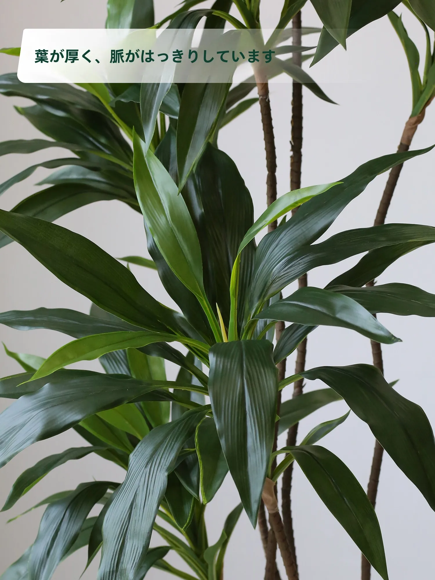 リアルな緑植の高級感ある偽木と小葉のヴェルヴェット室内用観葉植物：置物やリビングに最適な選択肢