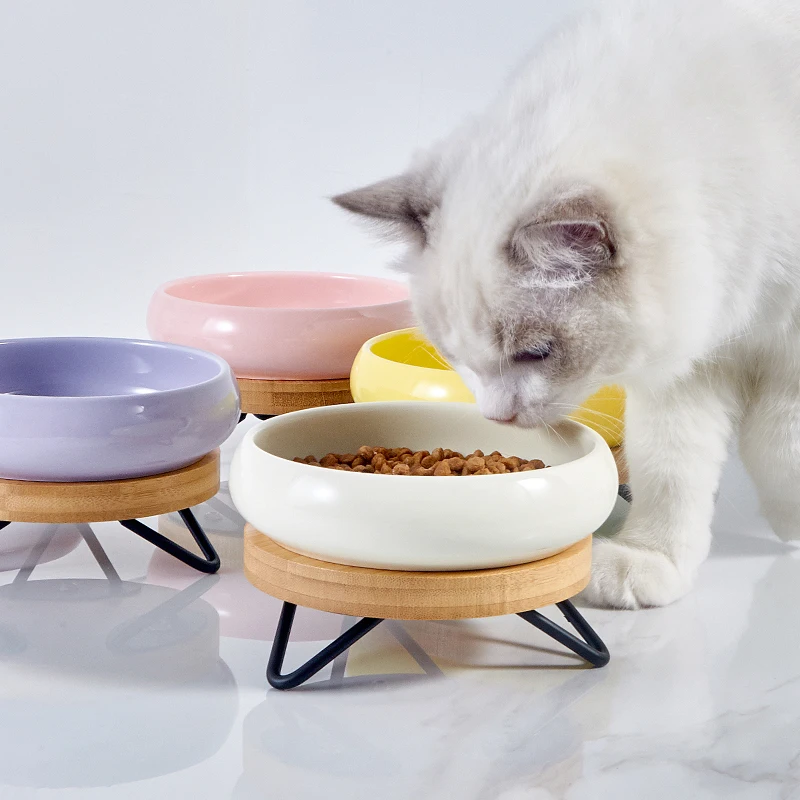 猫飼いが買ってよかったもの・悪かったもの正直に言う - 高架設計陶器食器の実態と評価