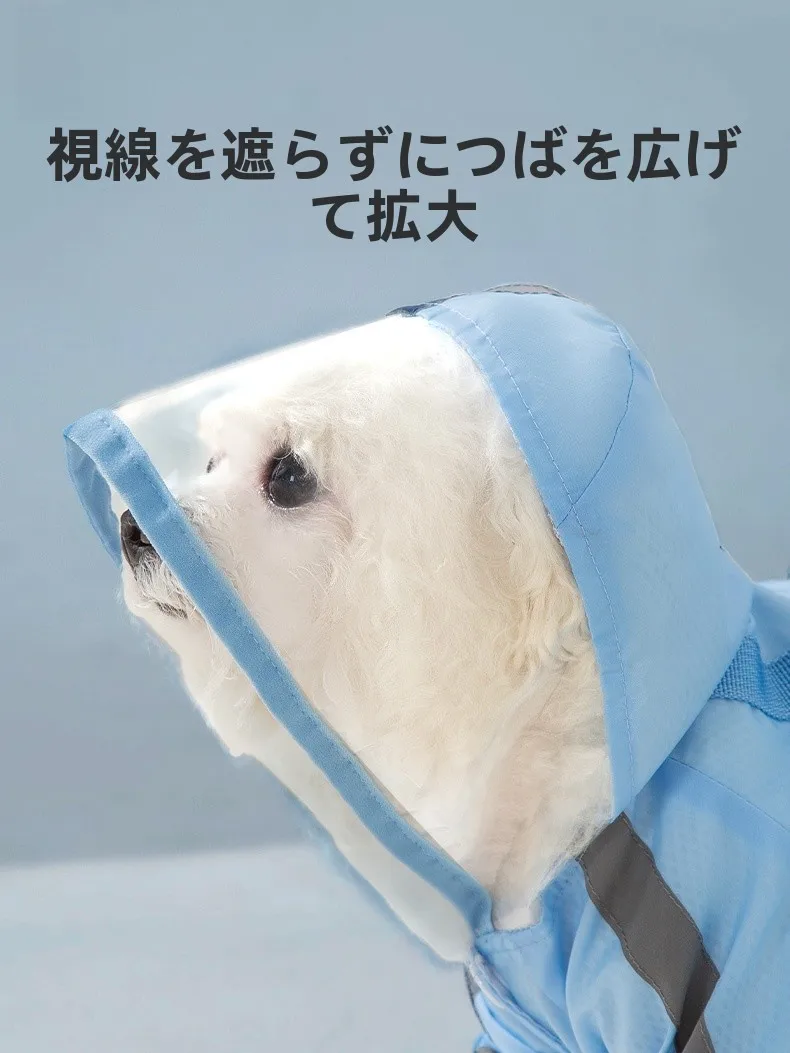 犬のお散歩グッズをコスパ良く揃える方法　完全ガイド