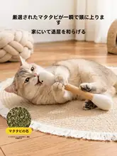 猫用 巨大コットンスティックおもちゃ【耐噛み性・ペット向け】