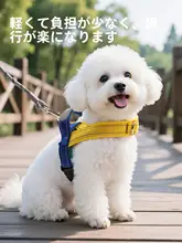 透湿性のあるハーネス型犬用リード【調整可能・首に負担をかけない・中小型犬用】