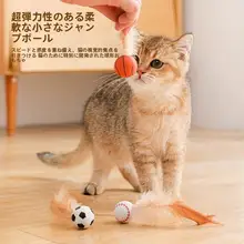 猫用運動ボール【フェザー付き・解消・エクササイズ用】