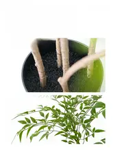 リアルな質感の南天竹の人工観葉植物【室内装飾・高級感】