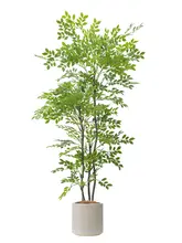 ニレ 偽物の木 植木鉢 室内 テレビ台の隣 装飾 ラグジュアリー グリーン