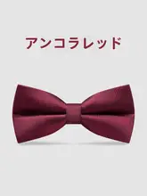 高級感のある酒紅色の蝶ネクタイ【男性用・結婚式・フォーマルアクセサリー】
