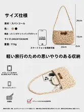 韓国風デザインのラメ入りショルダーバッグ【高級感・斜め掛け仕様】