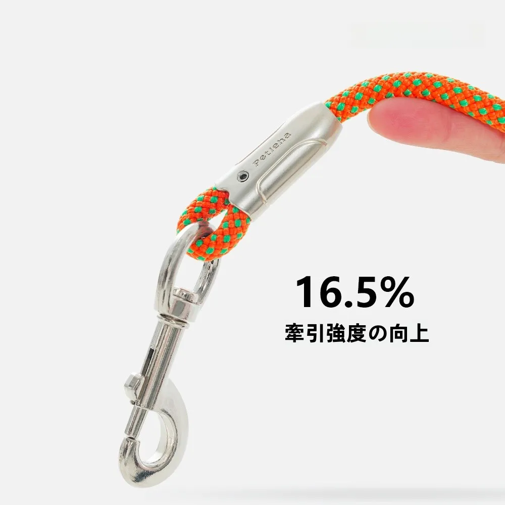 犬のお散歩グッズをコスパ良く揃える方法｜手を圧迫しない設計の選び方徹底解説