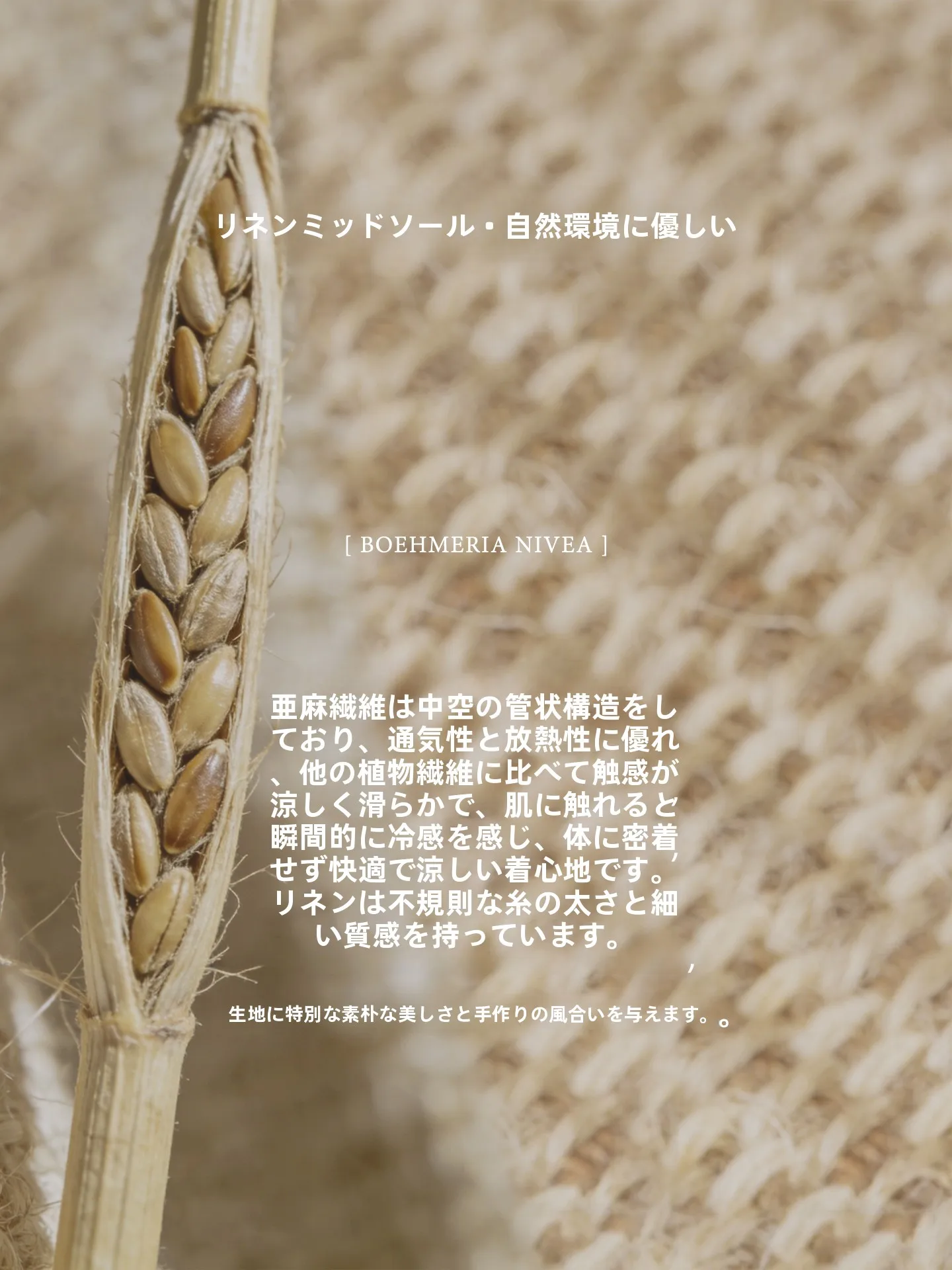 パーソナルな足元に合うサンダルは、どう選ぶ？
