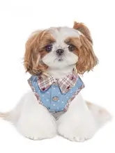 春用 デニムベスト【小型犬・リード対応・ビション・シュナウザー用】