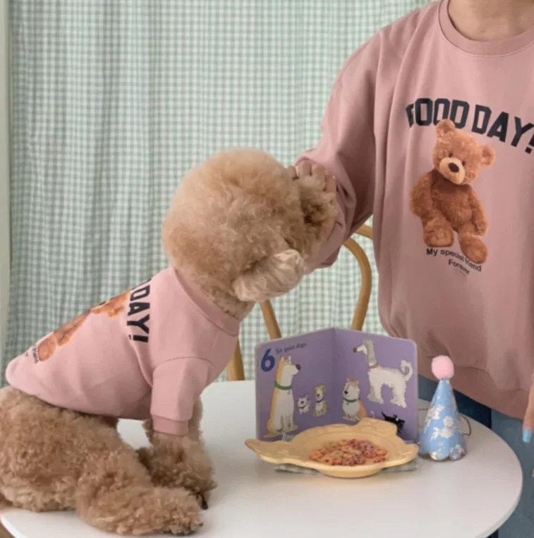 小型犬用夏用ペットウェア：暑さ対策グッズとしての実用性とフィット性の検証