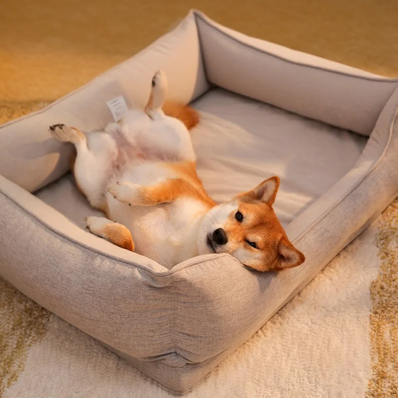 犬のお散歩グッズをコスパ良く揃える方法　完全ガイド