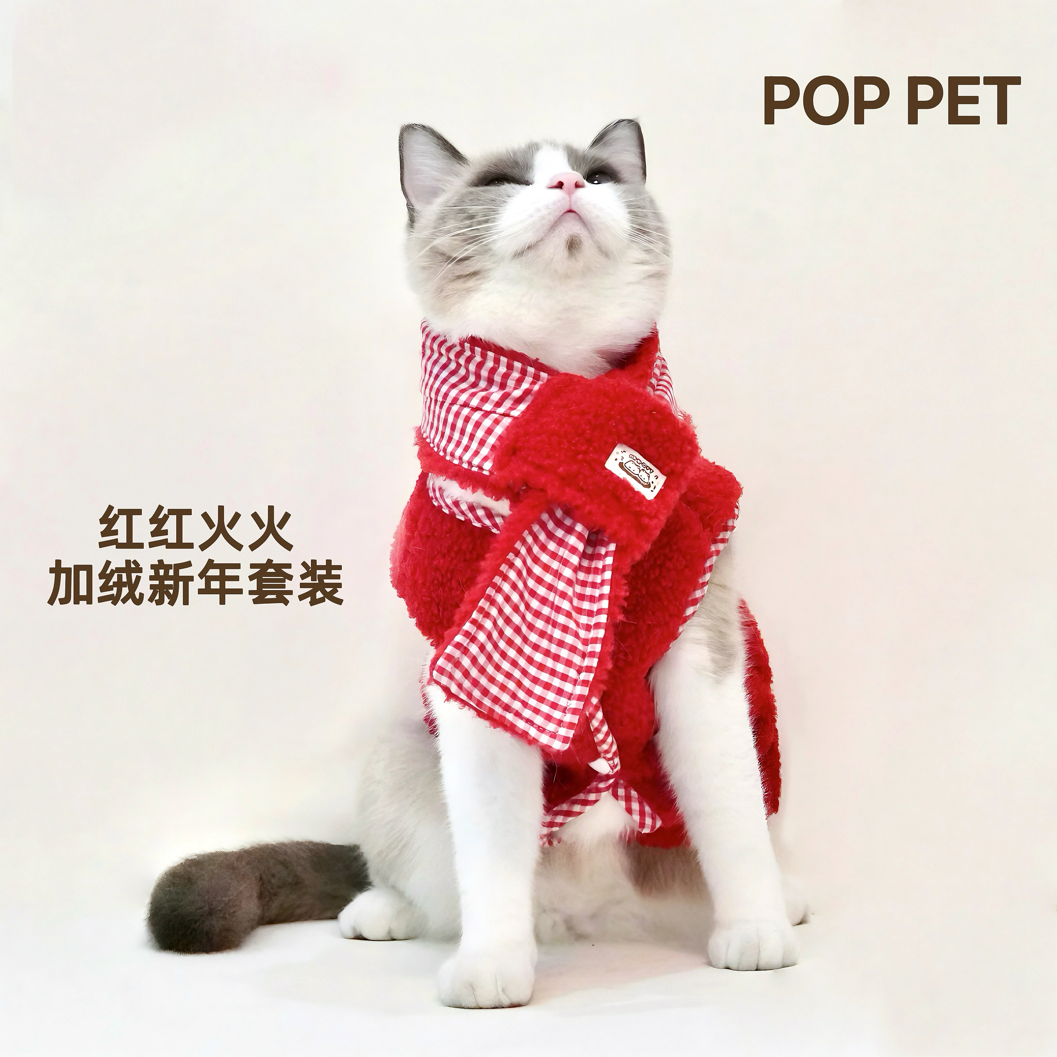 猫飼いが買ってよかったもの・悪かったもの正直 に言う｜冬の保温ベスト選びの徹底解説