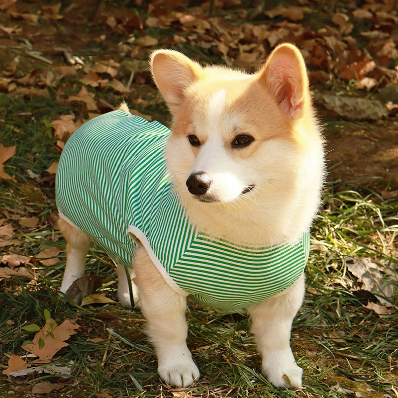 犬用手術後服【薄手・防舔・四脚式】（セットアップ対応）の使い方と選び方