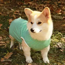 犬用手術後服【薄手・防舔・四脚式】（セットアップ対応）