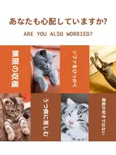 猫じゃらし 猫用おもちゃ 猫に合った 使用 スチール製 耐久性