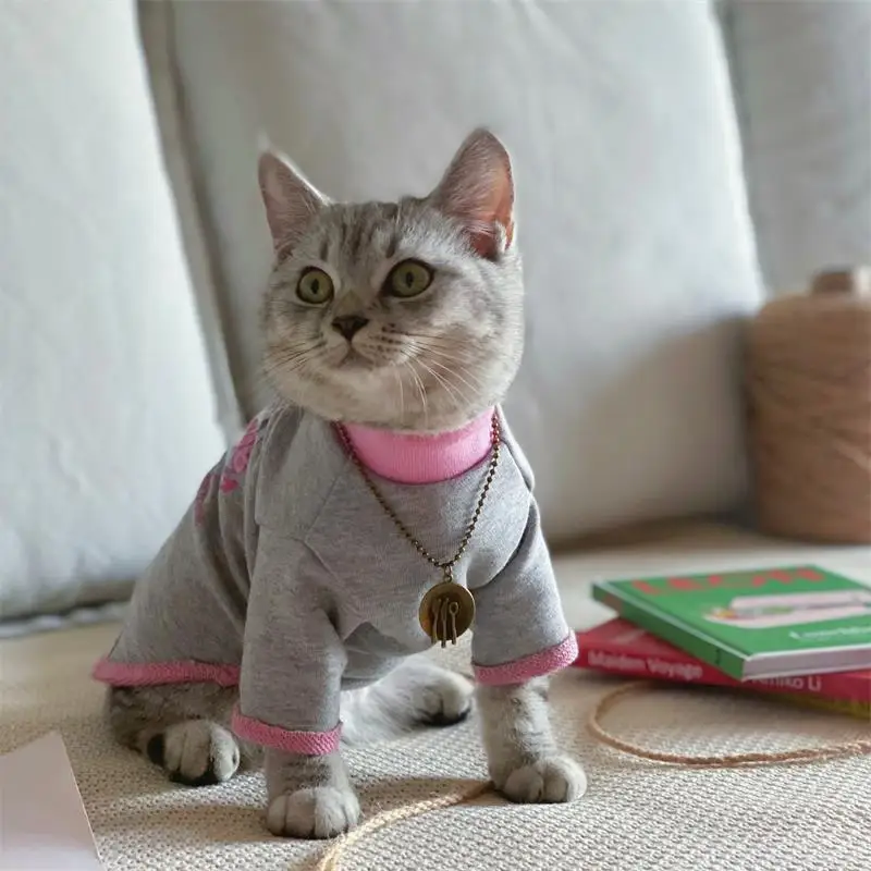 ペット用ネックレス：ブロンズチェーンで犬のロゴを表現するかわいいデザイン